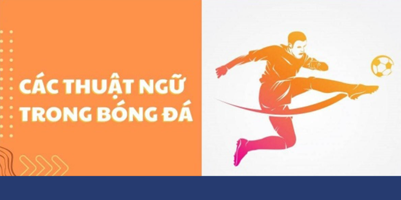 Khái niệm và phân loại thuật ngữ bóng đá cơ bản